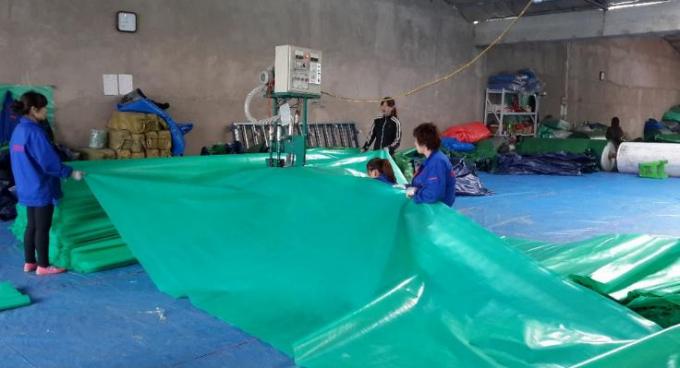 Water Proof PE Tarpaulin With Plain Color Or Strip Color For Covering